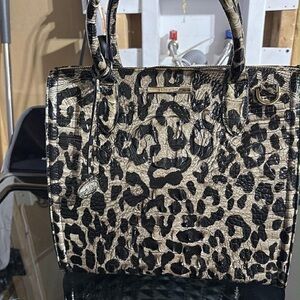 Brahmin Caroline in Snow Leopard